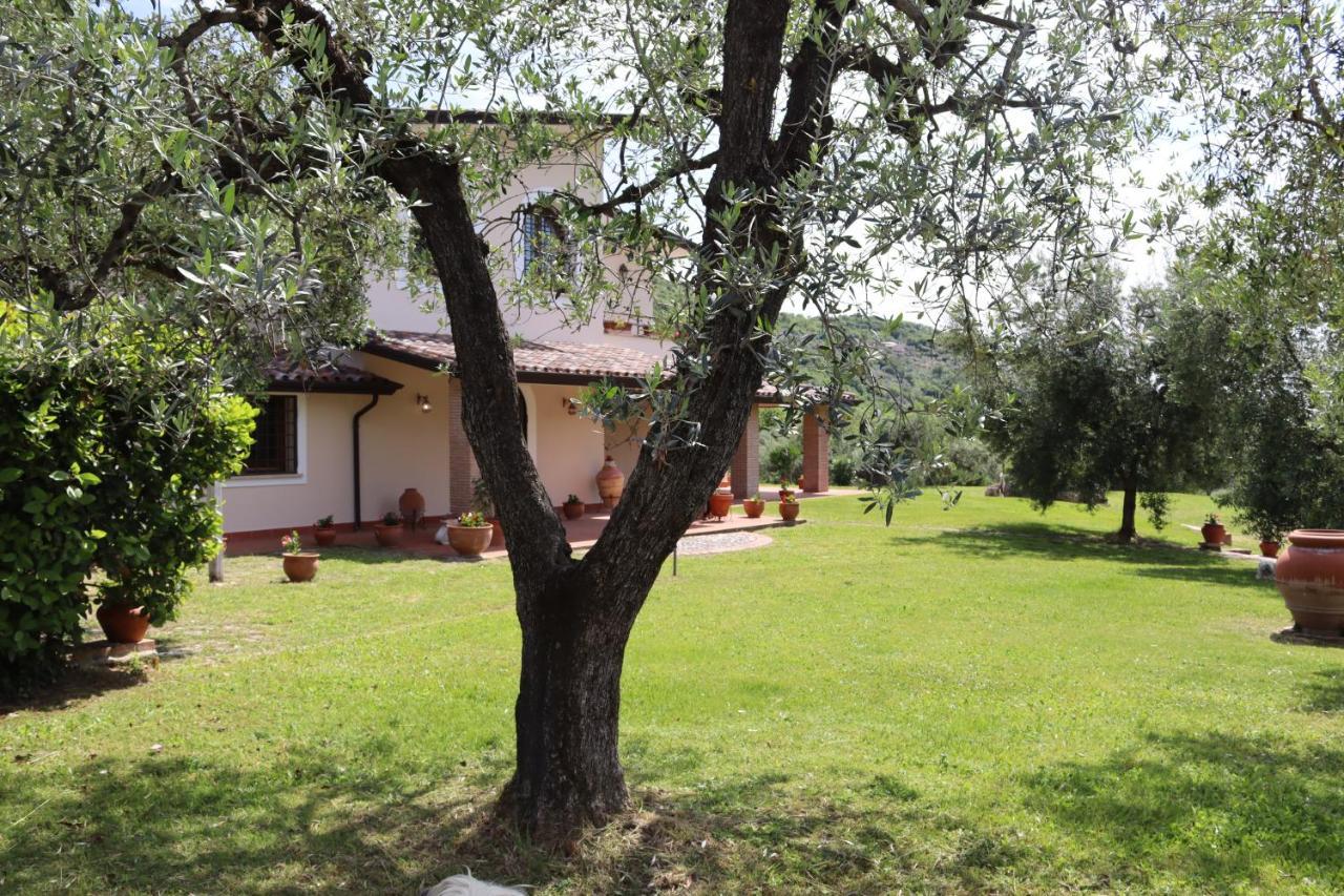 Agriturismo Il Bagolaro ネーロラ エクステリア 写真