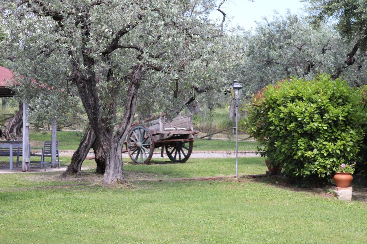 Agriturismo Il Bagolaro ネーロラ エクステリア 写真