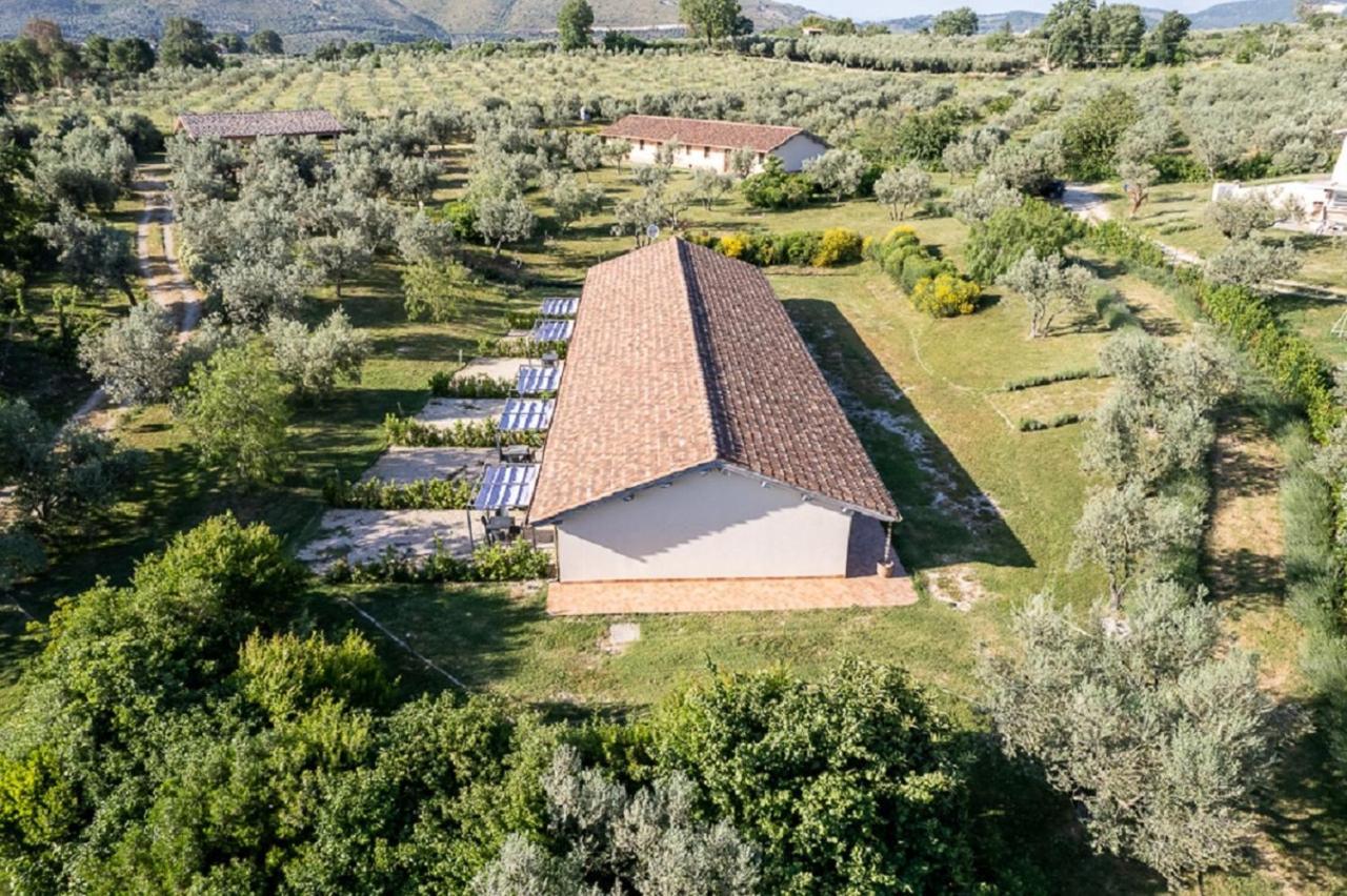 Agriturismo Il Bagolaro ネーロラ エクステリア 写真