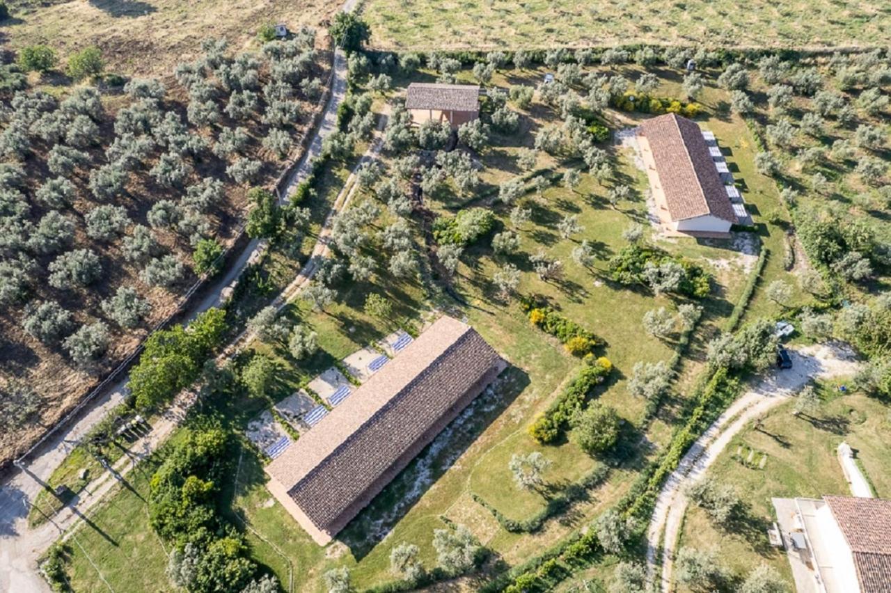 Agriturismo Il Bagolaro ネーロラ エクステリア 写真